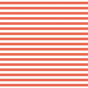 Coral Stripe