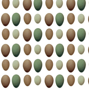 4x4 colored eggs