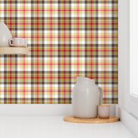 02193699 : tartan : spoonflower0135