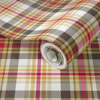 02193699 : tartan : spoonflower0135