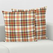 02193699 : tartan : spoonflower0135