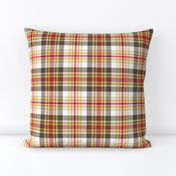 02193699 : tartan : spoonflower0135