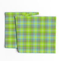 02193701 : tartan : spoonflower0165