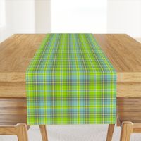 02193701 : tartan : spoonflower0165