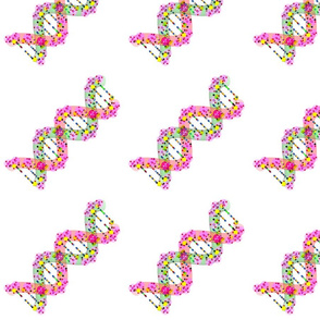 DNA Molecules 58