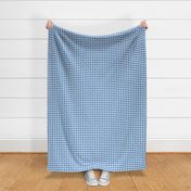 picnic gingham 1/2" squares, blue and white