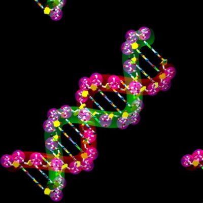 DNA Molecule 59