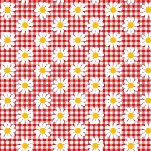 gingham daisy