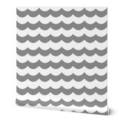 Chevron Waves in Gray