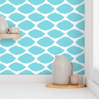 Aqua Oval Ikat