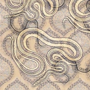 snakes and ladders