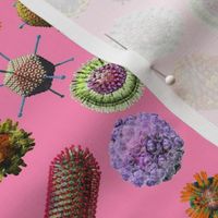 Virus on Pink Small Scrubs
