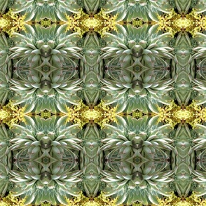 Green Succulents 5774