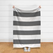 Avignon Stripe in Charcoal