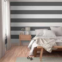 Avignon Stripe in Charcoal