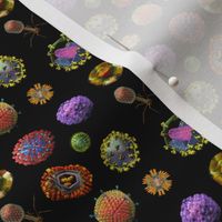 Viruses on Black SMALL Virus Scrubs