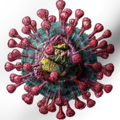 Coronavirus #4 on White Covid Virus Polka