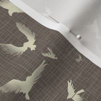 taupe birds