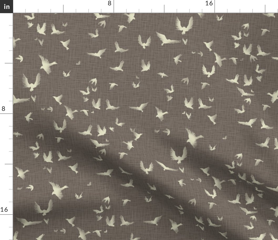 taupe birds