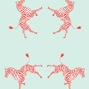 zebra_coral/aqua