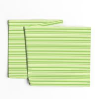 Lime Stripes