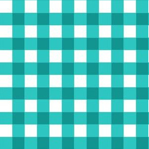 Turq_Gingham