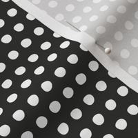 charcoal white petite polka