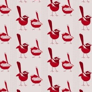 wrens in red and beige