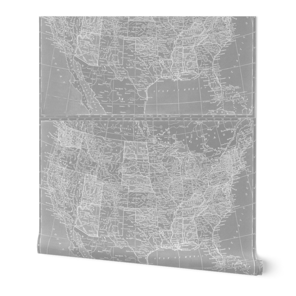 Minimalist Grey and White Map of the United States