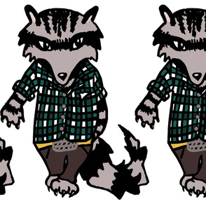 Raccoon Swagger II.