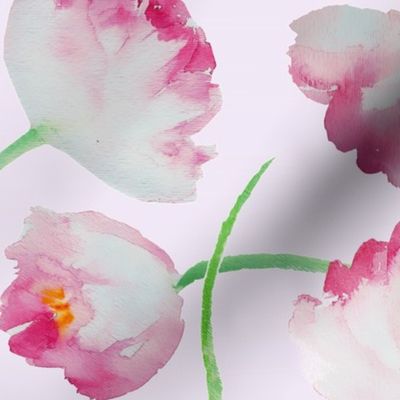 tulips