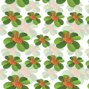 Spoonflower_Cricket_Design