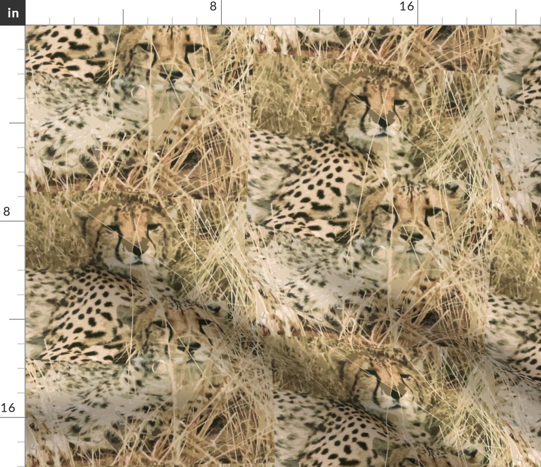 cheetahs_in_the_grass