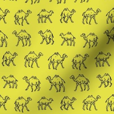Meandering Camels | Yellow