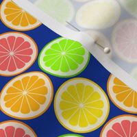 02240294 : citrus slices S43 X : fruity