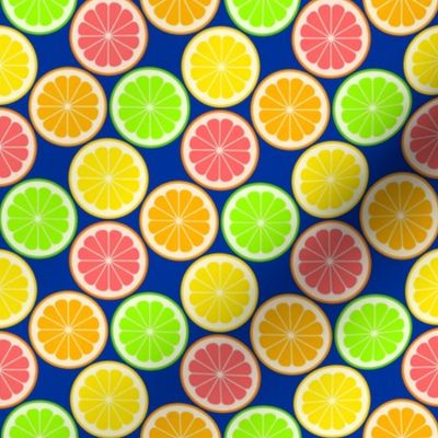 02240294 : citrus slices S43 X : fruity