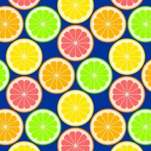 02240294 : citrus slices S43 X : fruity