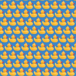 Ducks in a Row (Small)