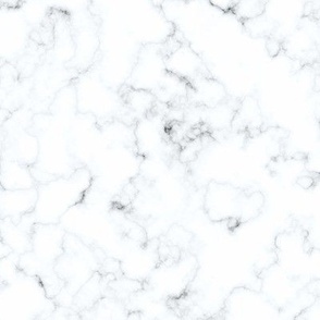 Grey and white marble