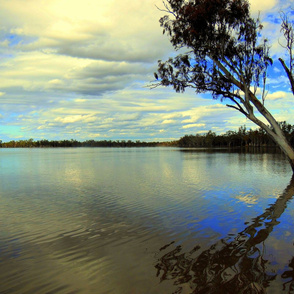 Reflection on the Water