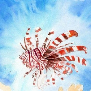 Lionfish- sized for Organic Cotton Knit