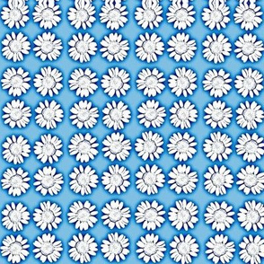 Blue and White Chrysanthemum Design