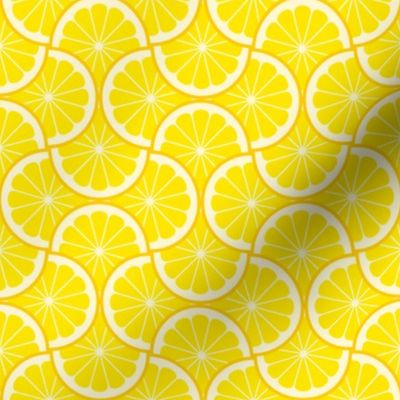 02243961 : citrus scale 4g X : lemon