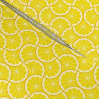 02243961 : citrus scale 4g X : lemon