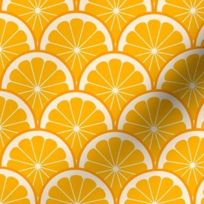 02243962 : citrus scale 1x X : orange