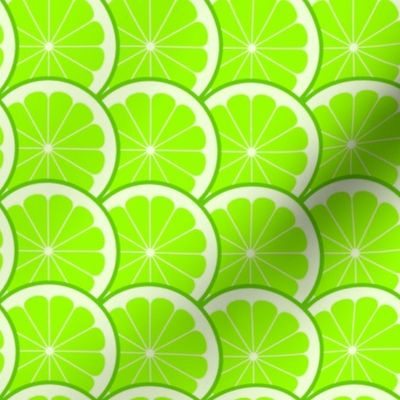 02243963 : citrus scale 1x : lime