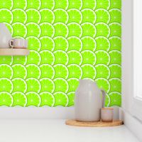 02243963 : citrus scale 1x : lime