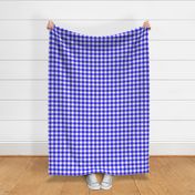 blue gingham