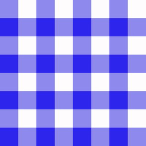 blue gingham