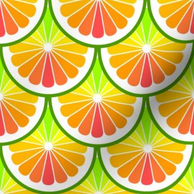 02245699 : citrus scale : rainbow